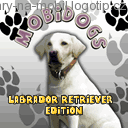 Mobidogs Labrador Retriever Edition, Různé - Hry na mobil - Ikonka